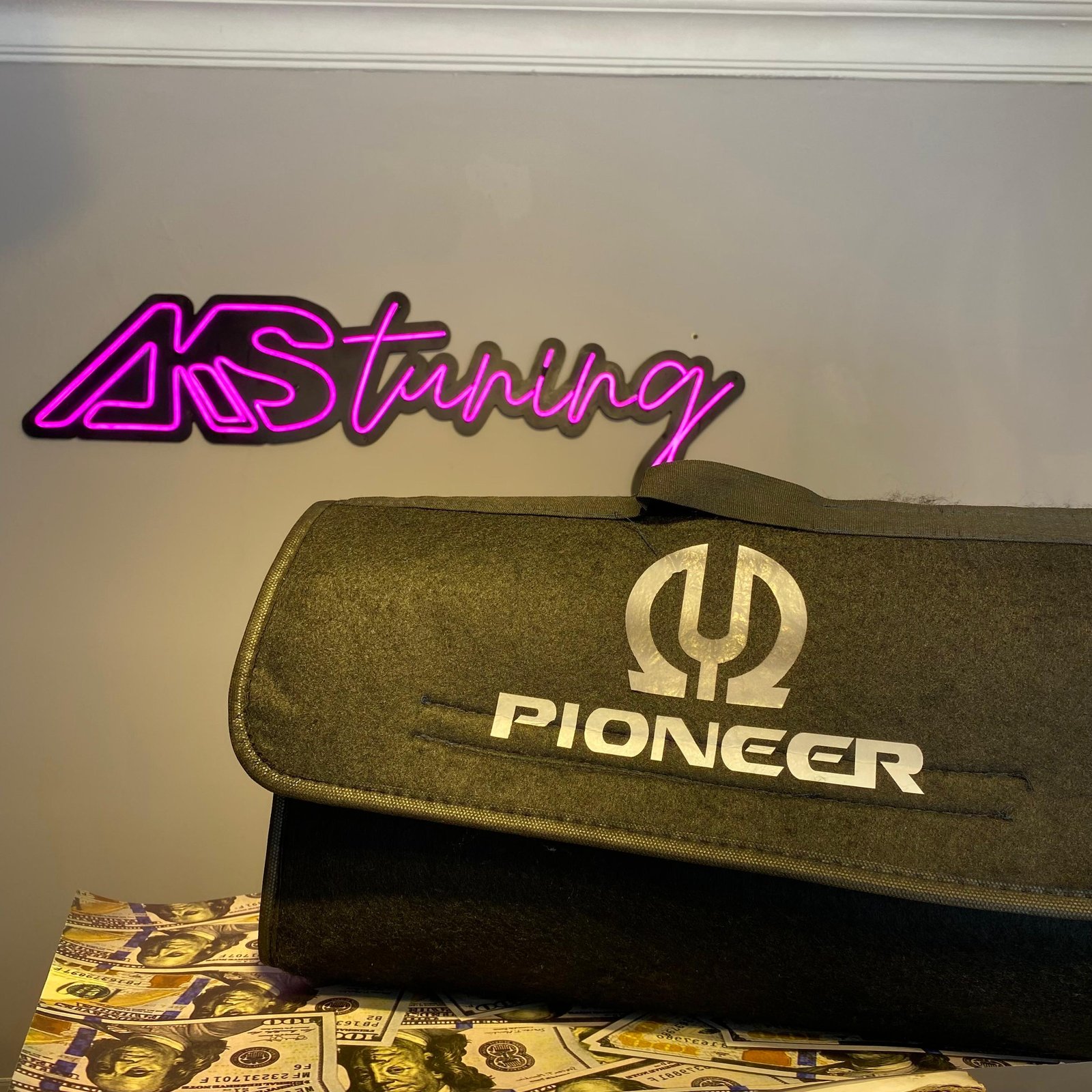 Pioneer Bagaj Organizeri